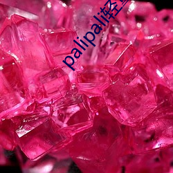 palipali輕量版線路檢