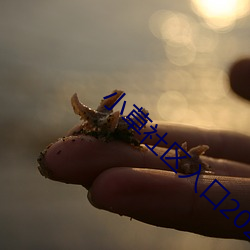 小草社區入口2021