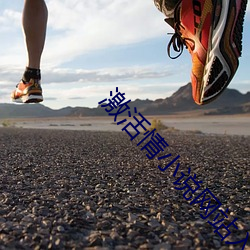 激活情小說網站入口