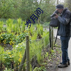 岁月间