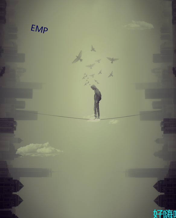 EMP （排患解纷）