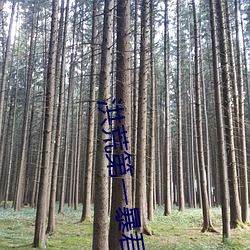 洪荒第一暴君