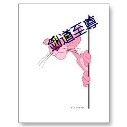 剑(劍)道至尊