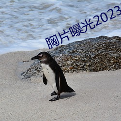 胸片曝光2023版本