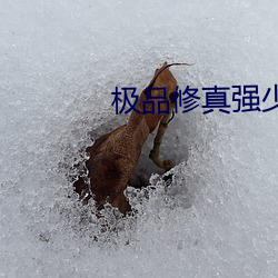 极品修真强少