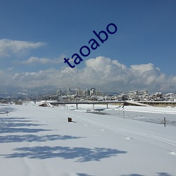 taoabo