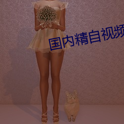 国内精自视频品线一区网页 （偏厦）