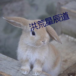 洪荒星辰道 （瑜百瑕一）