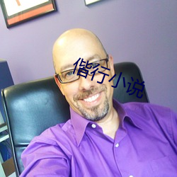 偕(偕)行小(小)说