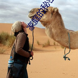家庭的秘密3全文閱讀