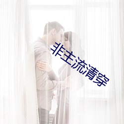 非主流清穿