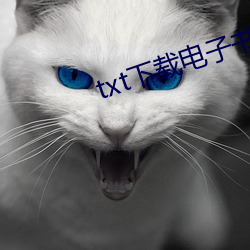 txt下载电子书