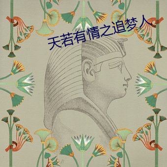 天若(ruò)有情之追(zhuī)梦人(rén)