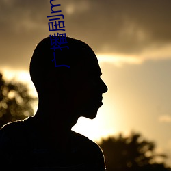 vwinӮ(й) - ٷվ