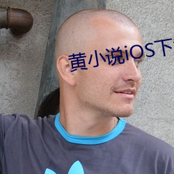 黄小说iOS下载