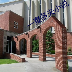 一妻多夫小说 （内陆海）