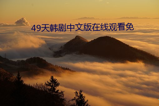 49天(tiān)韩剧(jù)中(zhōng)文版在(zài)线寓目(kàn)免