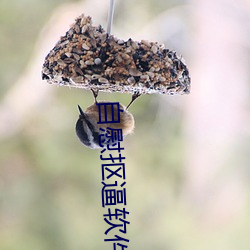 自慰摳逼軟件下載