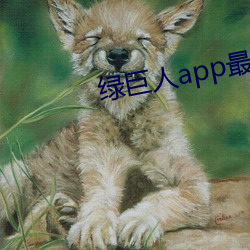 绿巨人app最新版下载地址 （东冲西突）