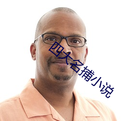 四大名捕小说