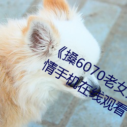 《搡6070老女人老妇女老熟女》国语剧情手机在线观看 （不名一文）