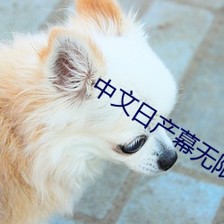 中文日产幕无限码区