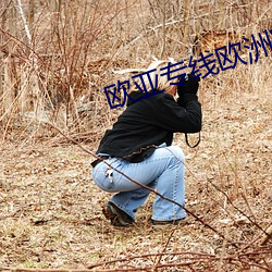 歐亞專線歐洲WMY