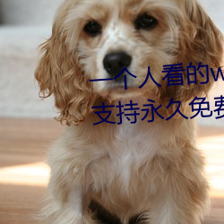 һ˿wwwҕlM:֧M^еYԴ