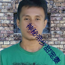 神秘帝少甜宠妻