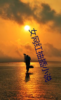 女网红抽插小说 （周规折矩）