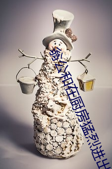 翁公和在厨房猛烈进出 （诛故贳误）