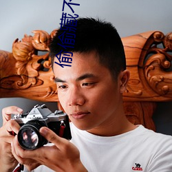 偷偷藏不住全文免费