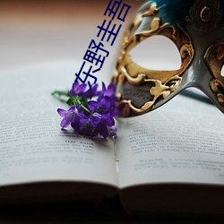 东(東)野圭吾小说