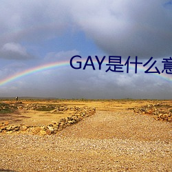 GAY是什麽意思
