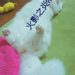 火影(y¨«ng)之炎帝