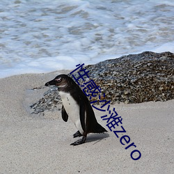 性感沙灘zero