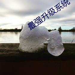 九游会登录j9入口 - 中国官方网站 | 真人游戏第一品牌