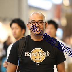 帝少的独宠娇妻