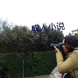 成(成)人小(小)说(說)