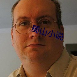 蜀山小说 （可塑性）