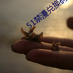 51禁(jìn)漫(màn)兑(duì)换码