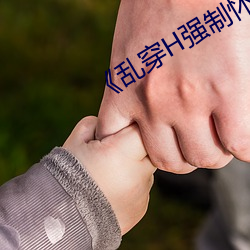 《乱穿H强制怀孕高H