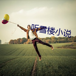 听雪楼小说(shu¨)