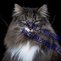 成版(版)人短视频app无限(限)观看:免费100种无(無)限(限)次(次)数(數)看片(片)的视(視)频软