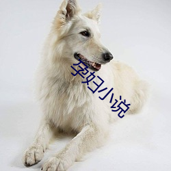 孕(孕)妇(婦)小(小)说