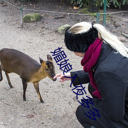 媚娘入夜(y��)多多