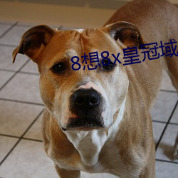 8想8x皇冠域名 （斗鸡养狗