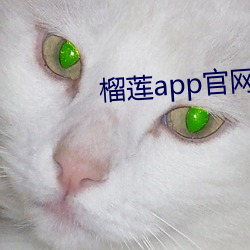 榴莲app官(官)网下载入(入)口