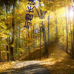 與君長訣