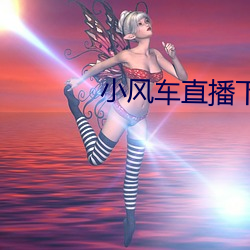 小(小)风车直播下载